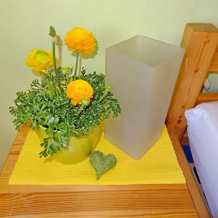 Loewenzahn Apartmán