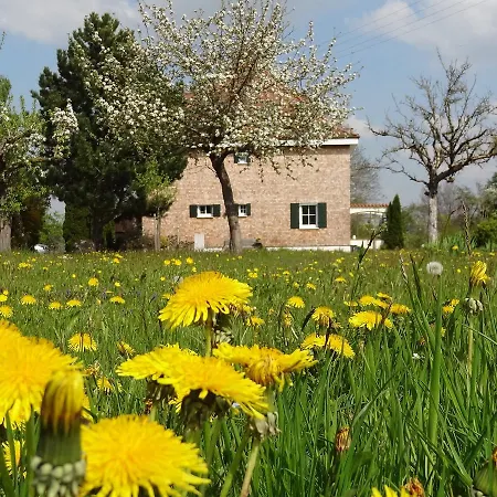 Loewenzahn Apartmán