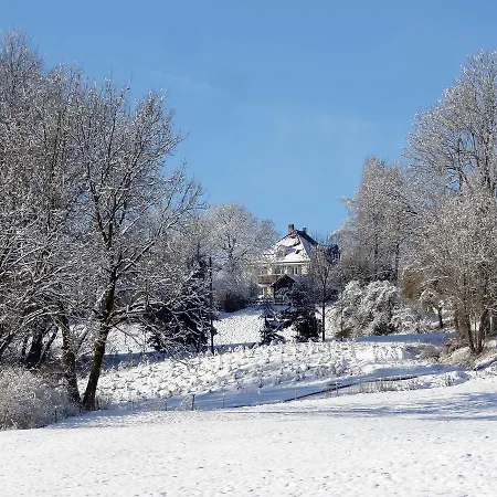 Loewenzahn